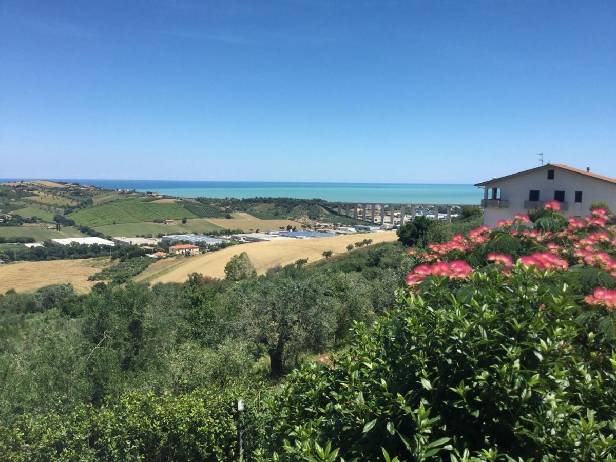 Ellebi B&B Montone  Buitenkant foto