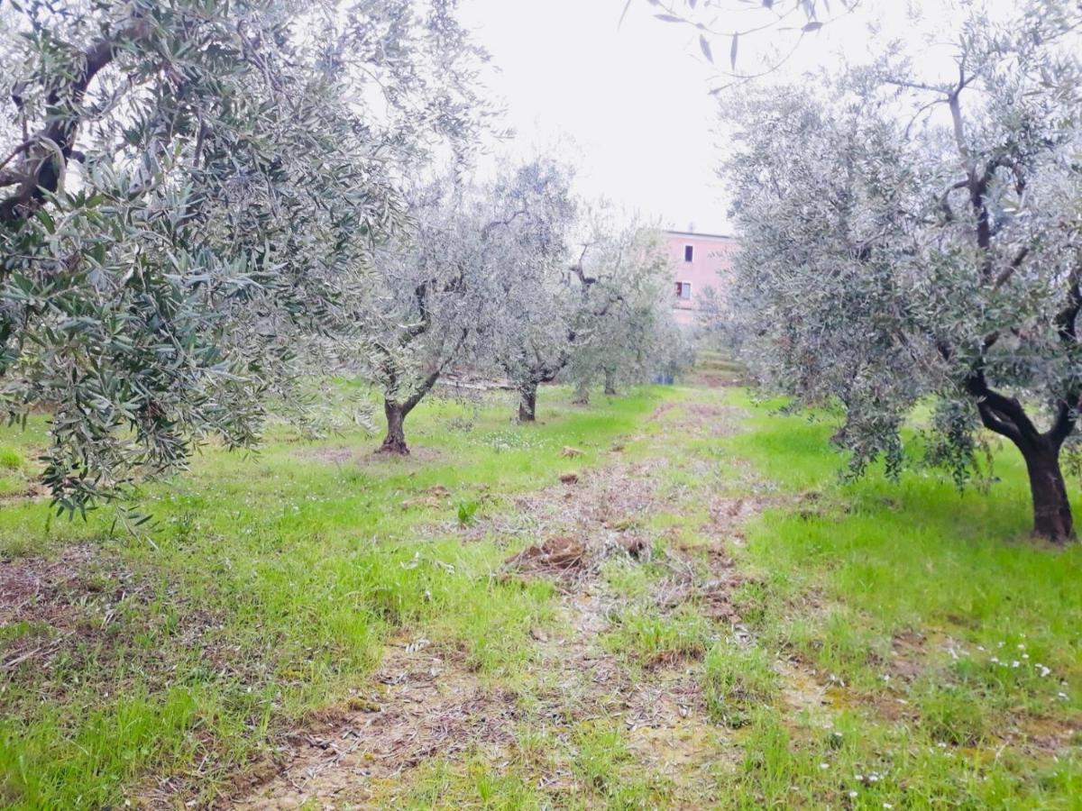 Ellebi B&B Montone  Buitenkant foto
